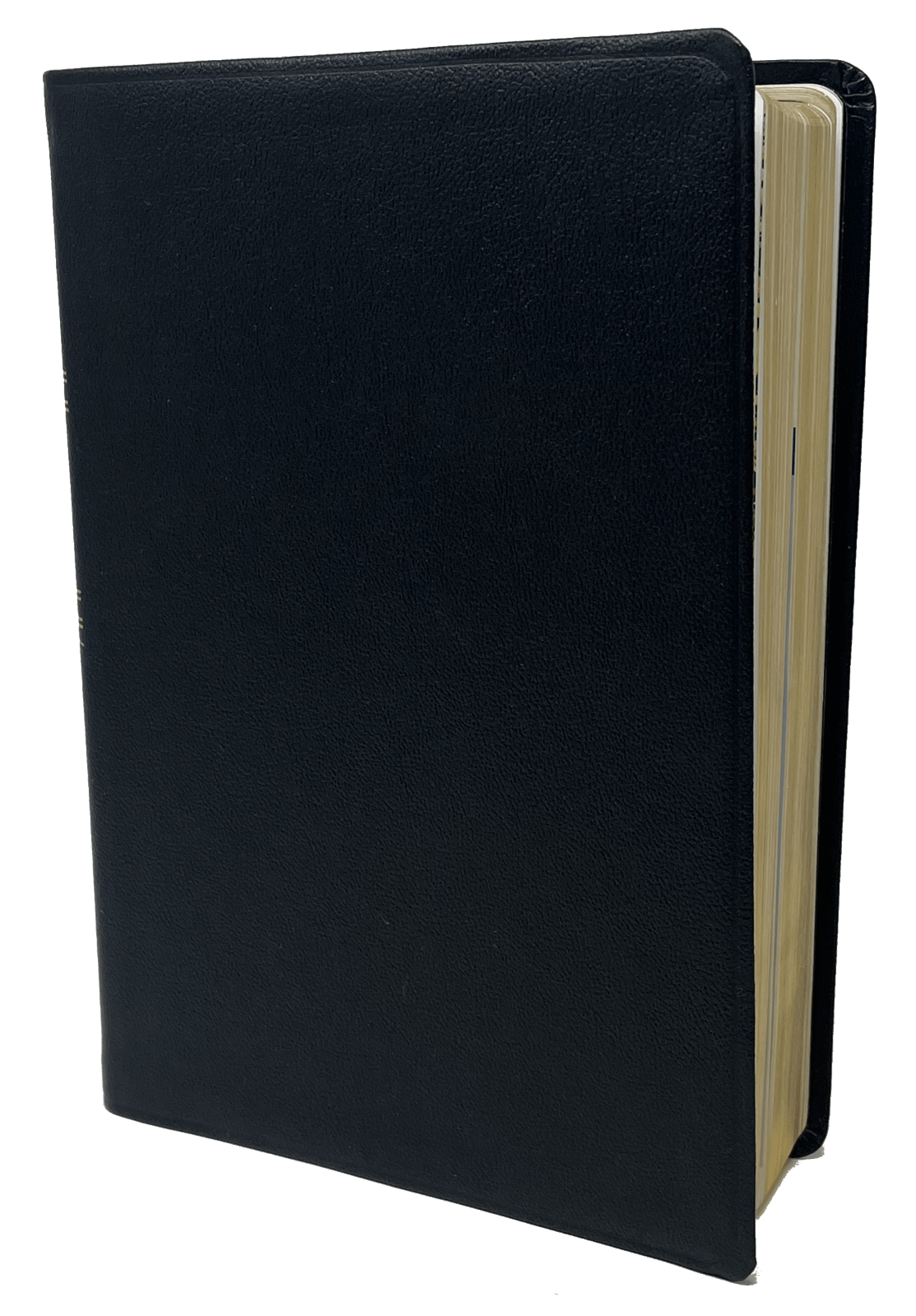 Complete Jewish Study Bible