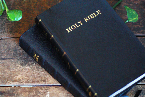 the bible nrsv