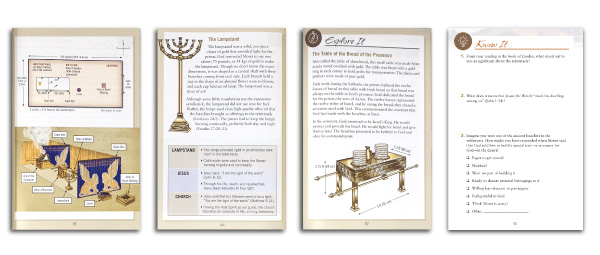 Bible Studies - Rose Visual Bible Studies