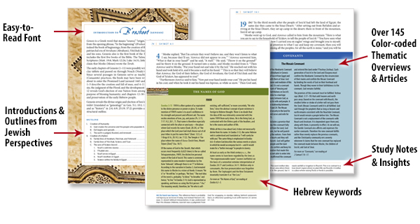 Jewish Bibles with Jewish Style