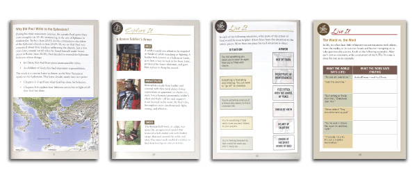 rose visual bible studies