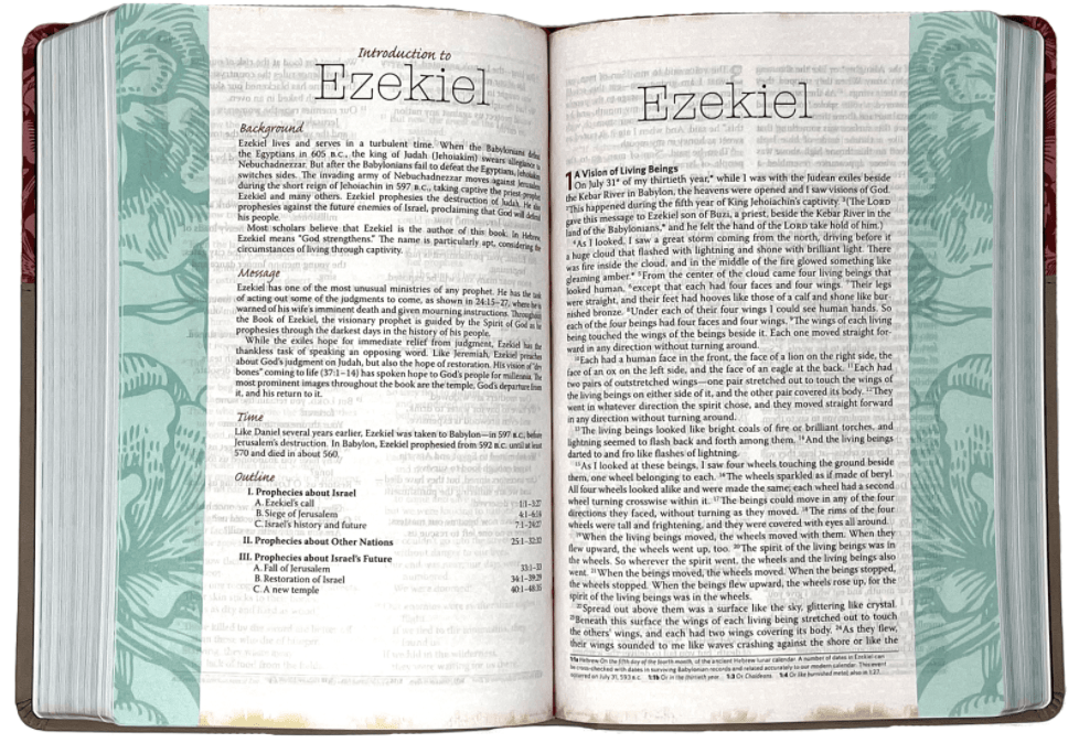 Everyday Matters Bible for Women