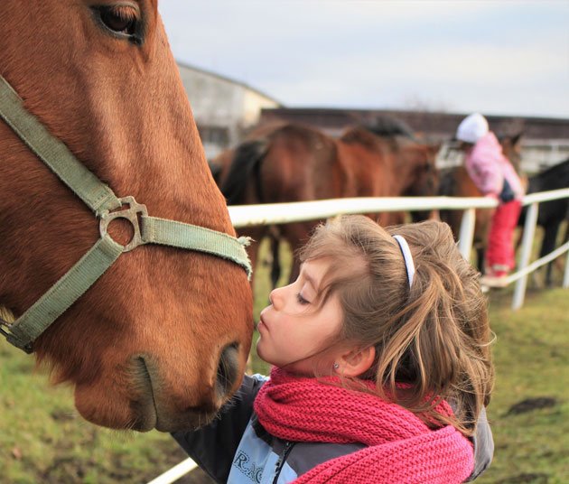 Top 10 Benefits of Owning Horses for Kids: Part 1