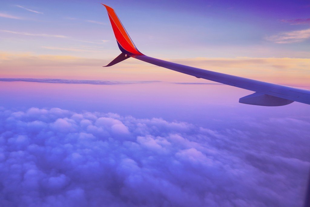 Plane Wing