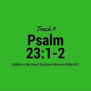 track-5-8