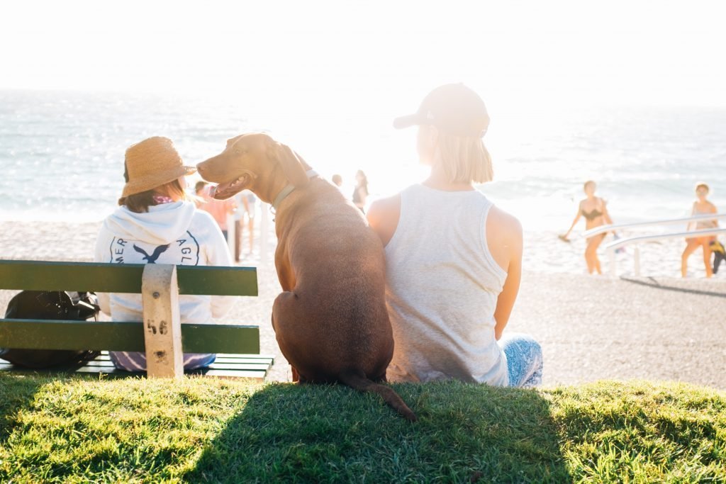 Woman with dog at beach