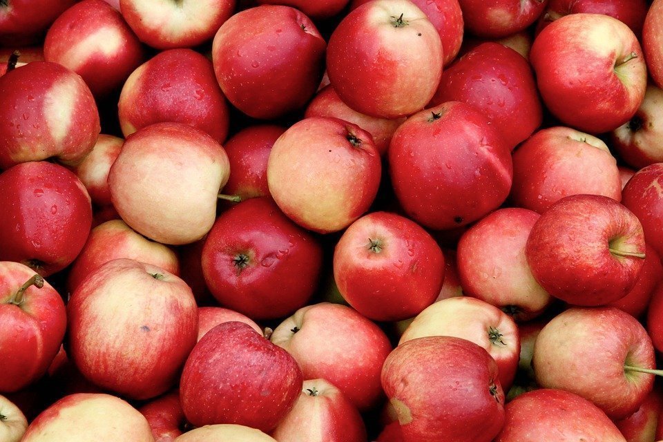 apples
