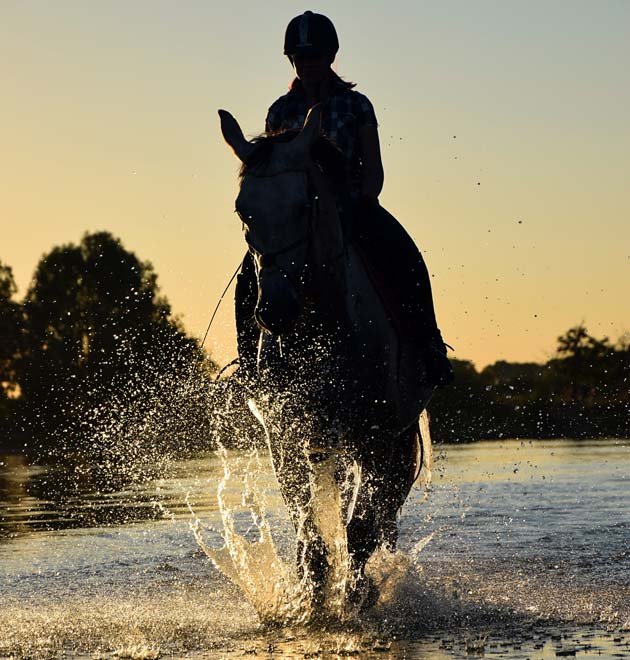 Top 10 Benefits of Owning Horses for Kids: Part 1