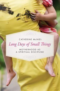 long-days-of-small-things-catherine-mcniel