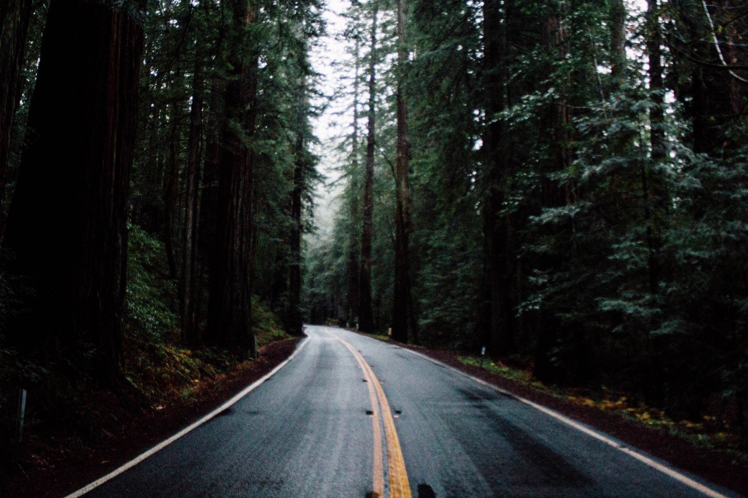 winding-road-in-forest