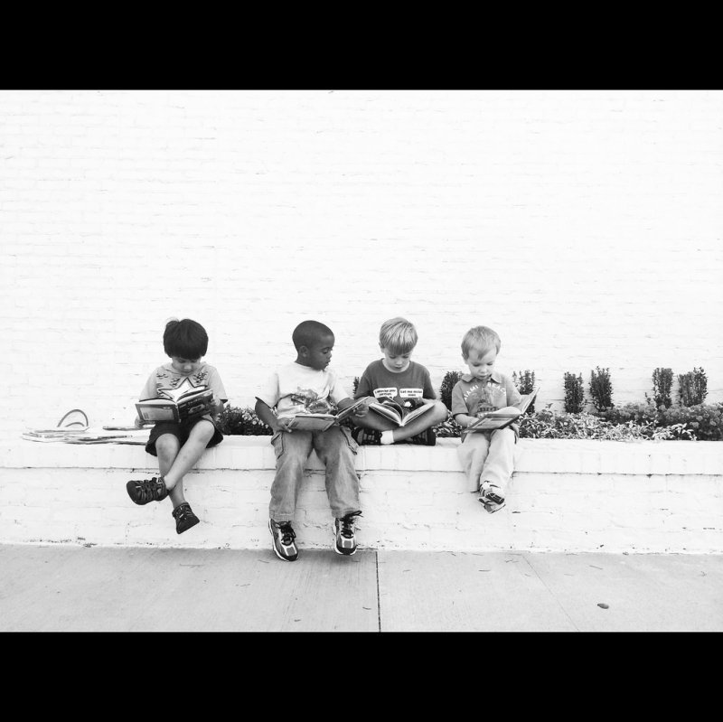 birds-on-wire-children-reading-books-library-school-cool-kids-boys-book