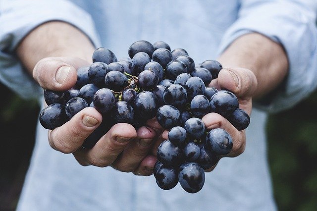 What is Giving Tuesday grapes image