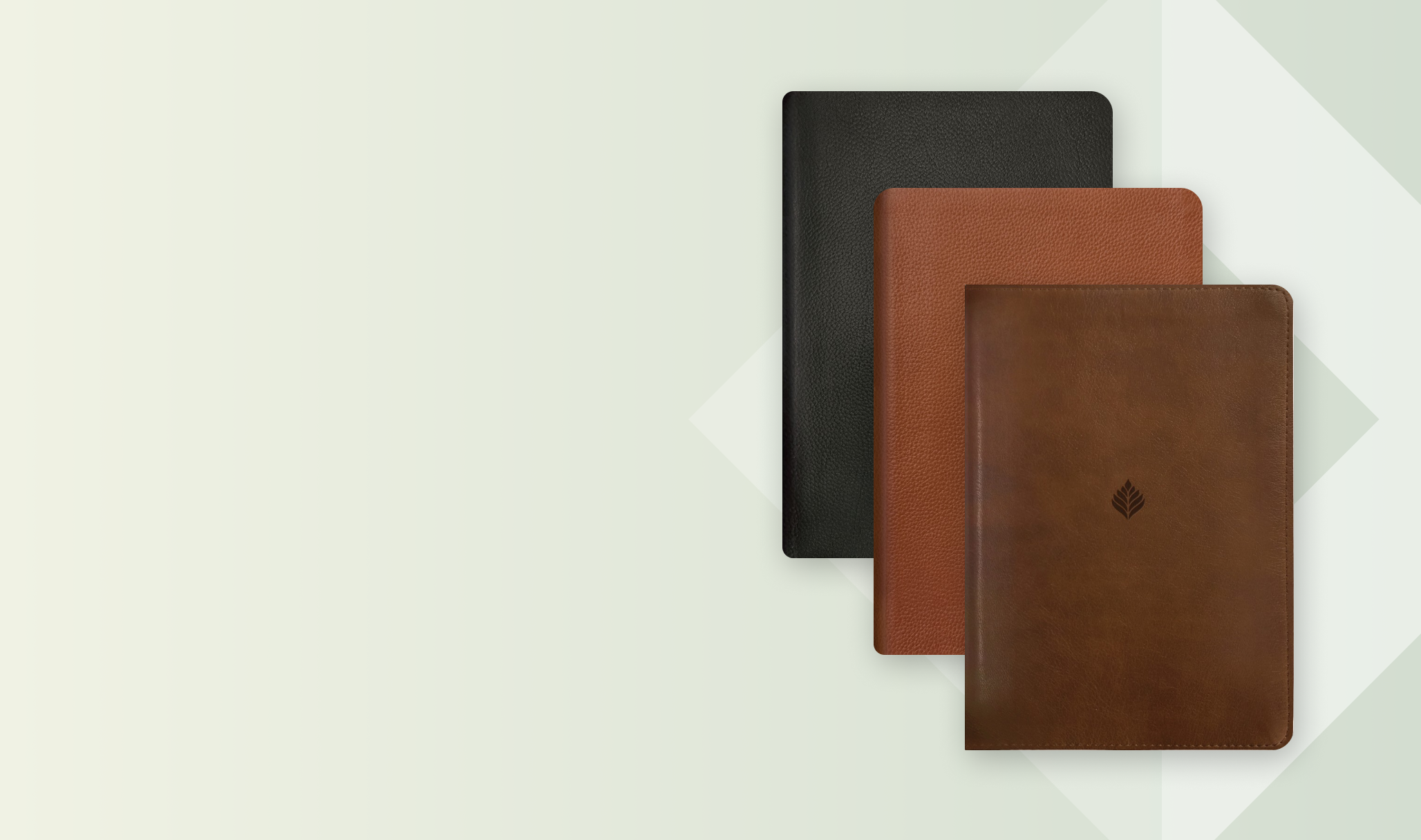 Tyndale | Shop Study, Devotional, Reference, Children's Bibles and