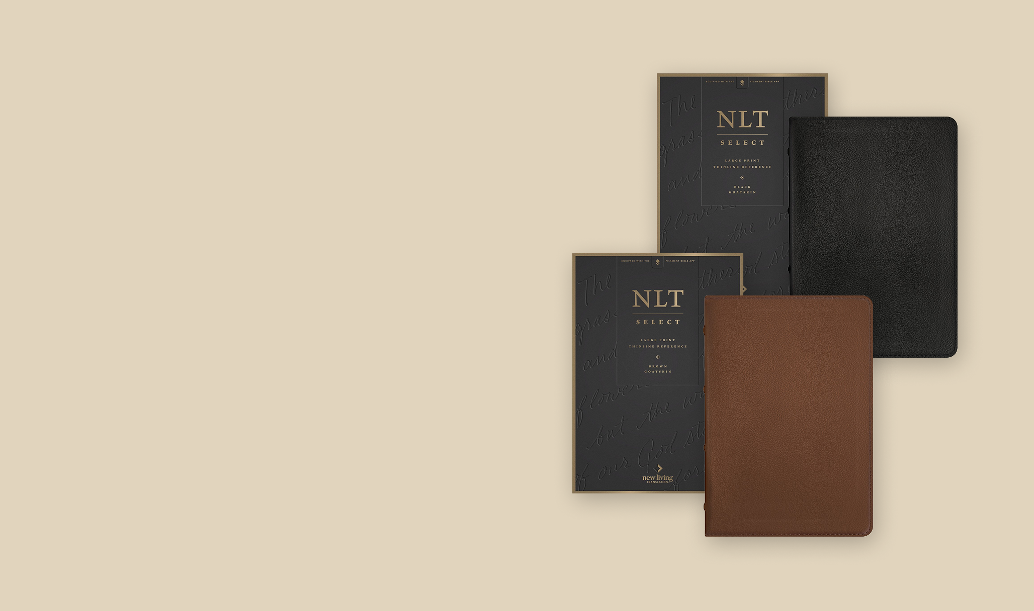 Tyndale | Shop Study, Devotional, Reference, Children's Bibles and