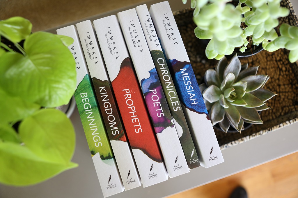 Immerse Bible books on coffee table with succulent plants