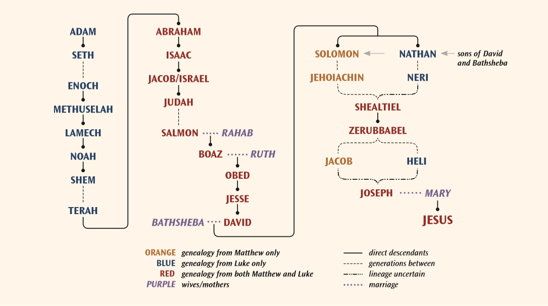 Tyndale | Stories: What Does Genealogy Have to Do with Christmas?